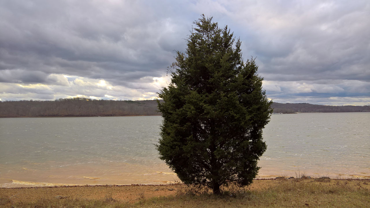 WP 20161229 15 46 35 Raw