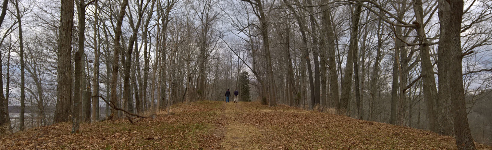 WP 20161229 16 04 04 Raw