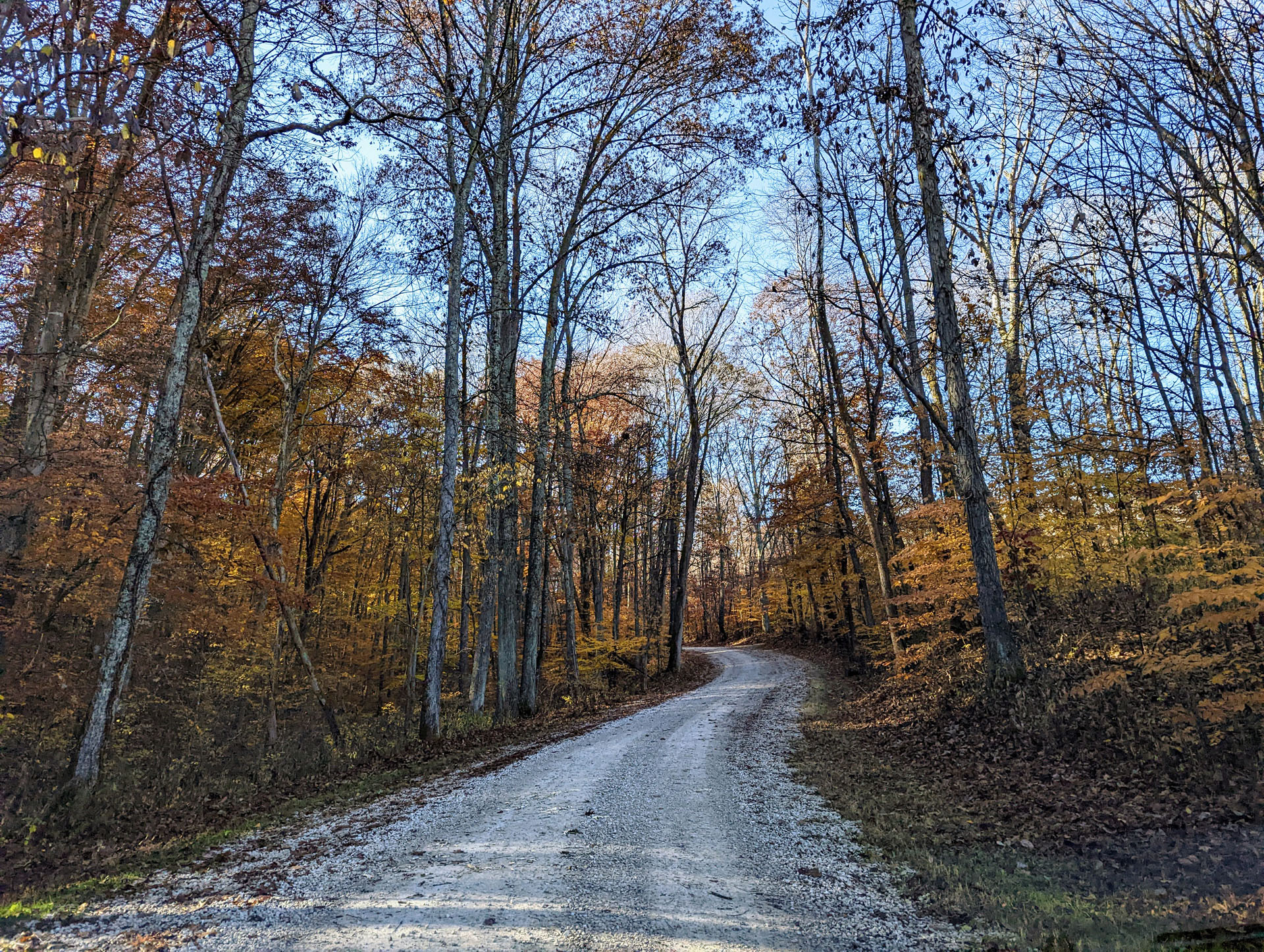 PXL 20221029 143455847 2