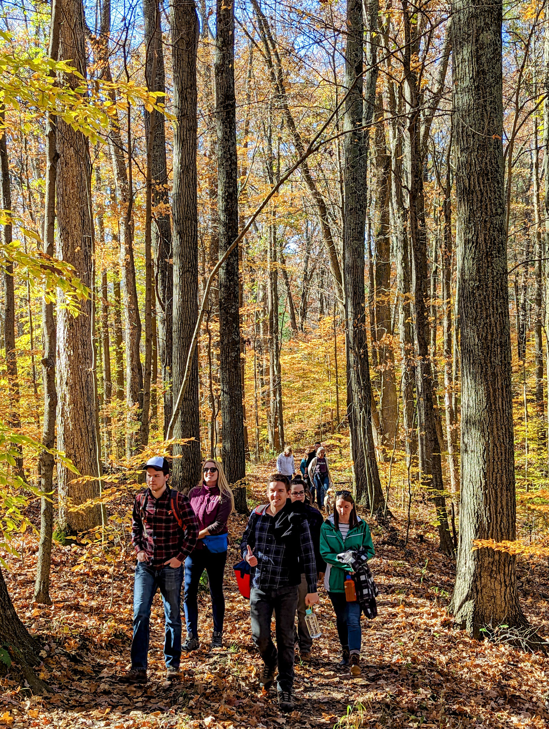 PXL 20221029 151958523 2