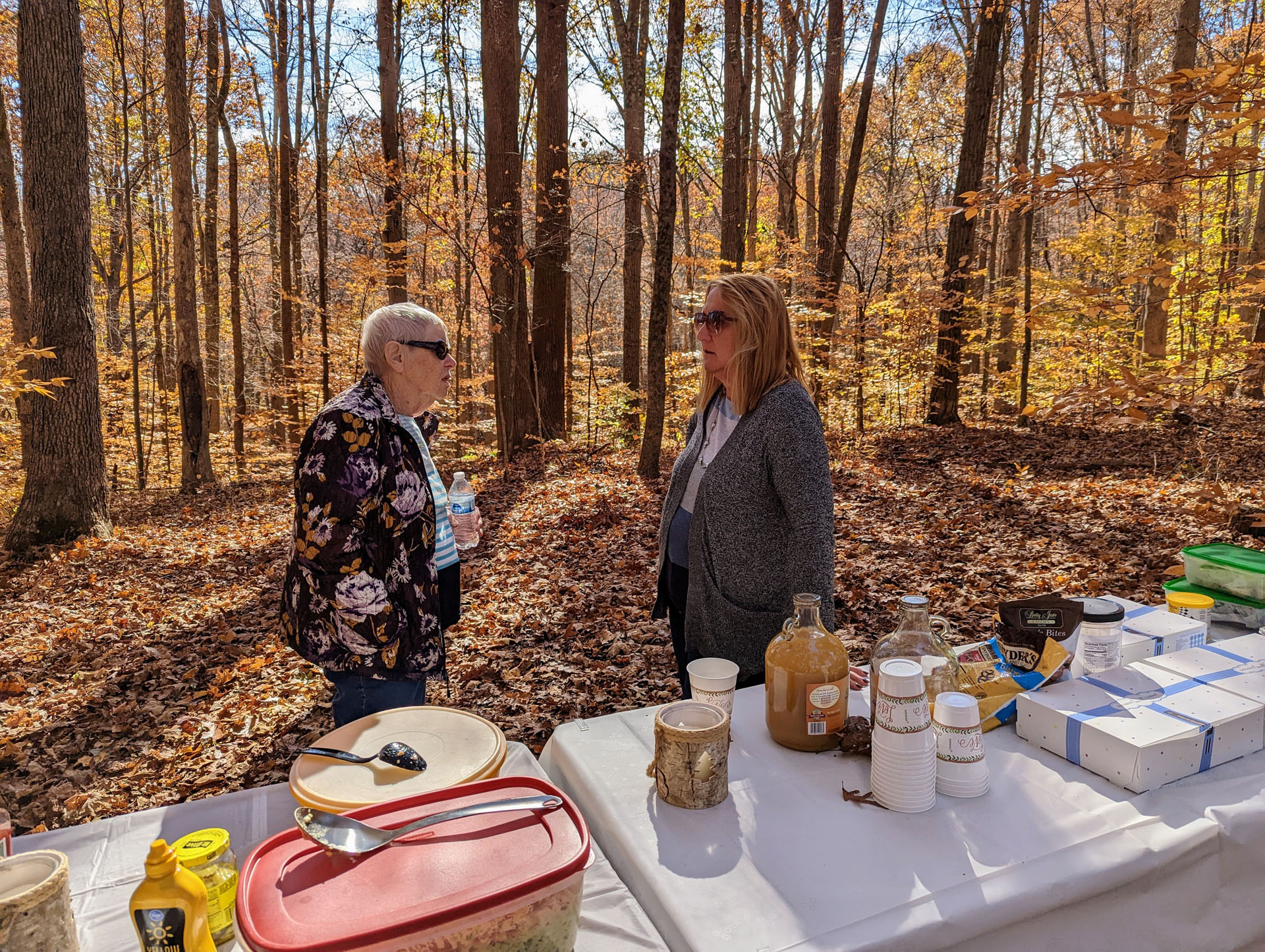 PXL 20221029 172037496 2