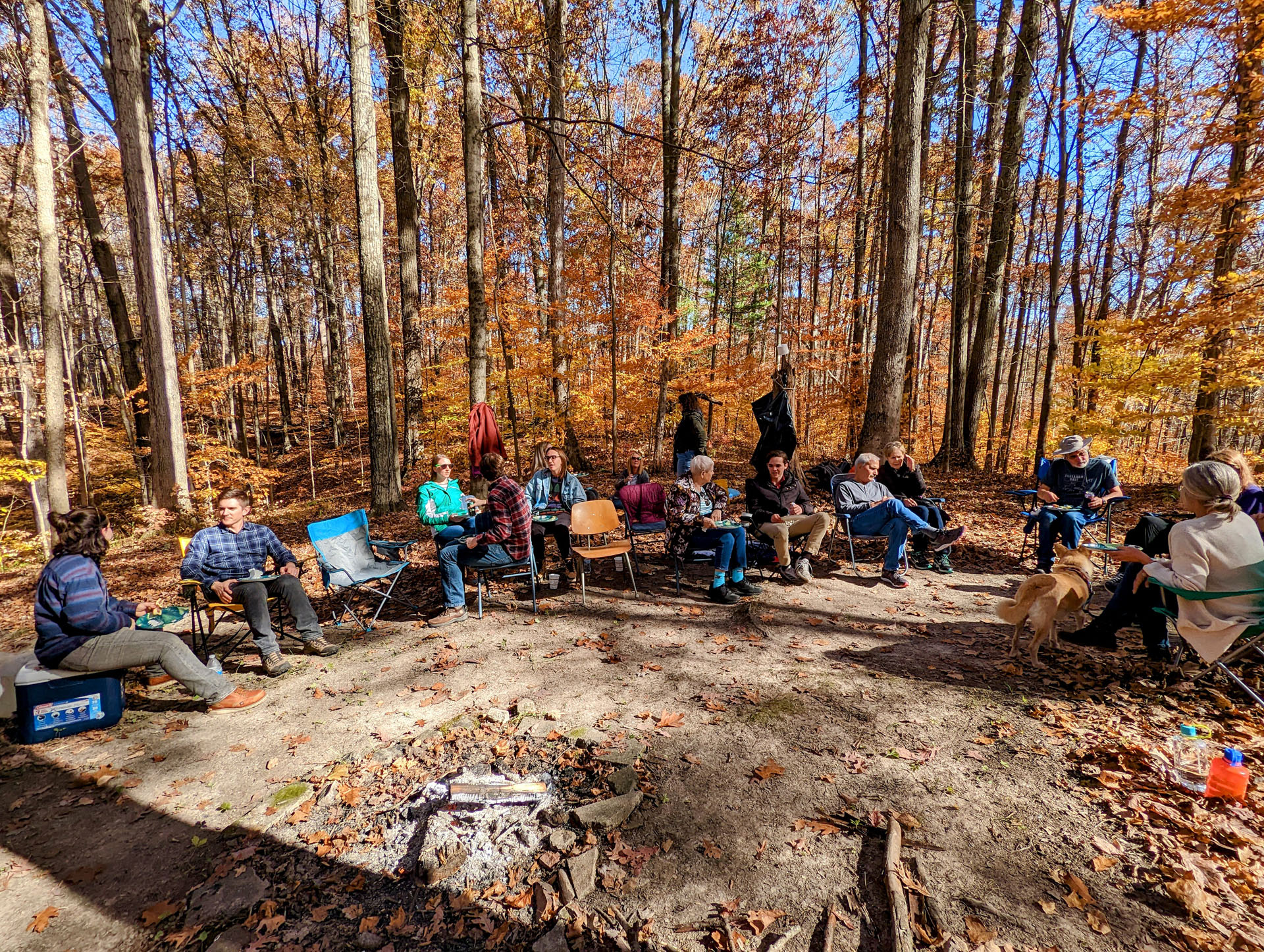 PXL 20221029 175307262 2