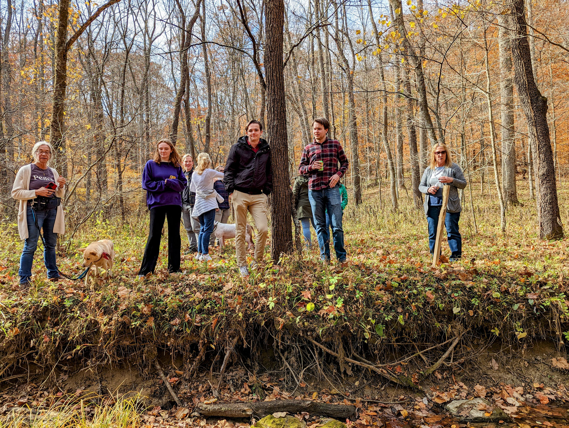 PXL 20221029 183041387 2