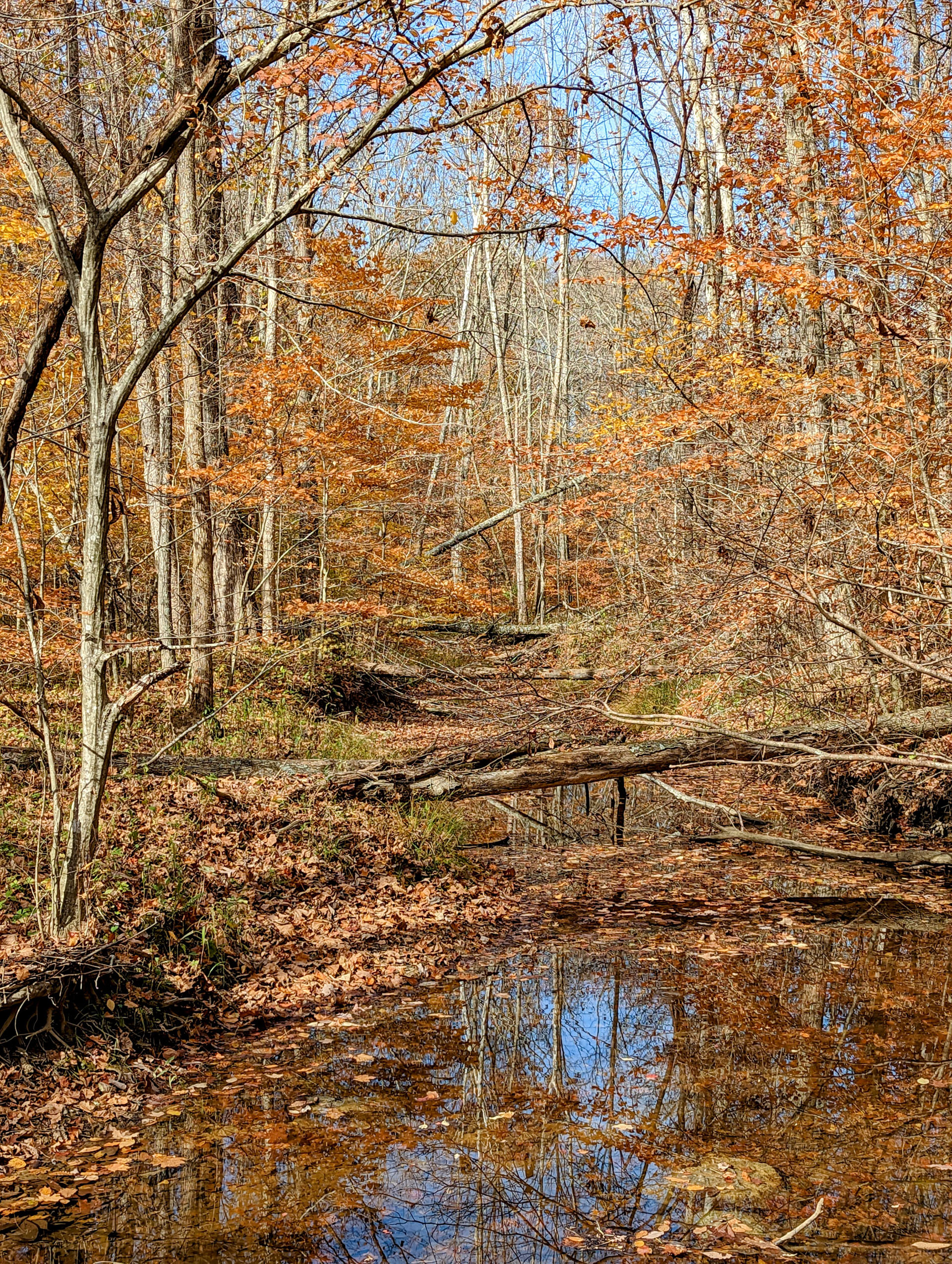 PXL 20221029 183147433 2