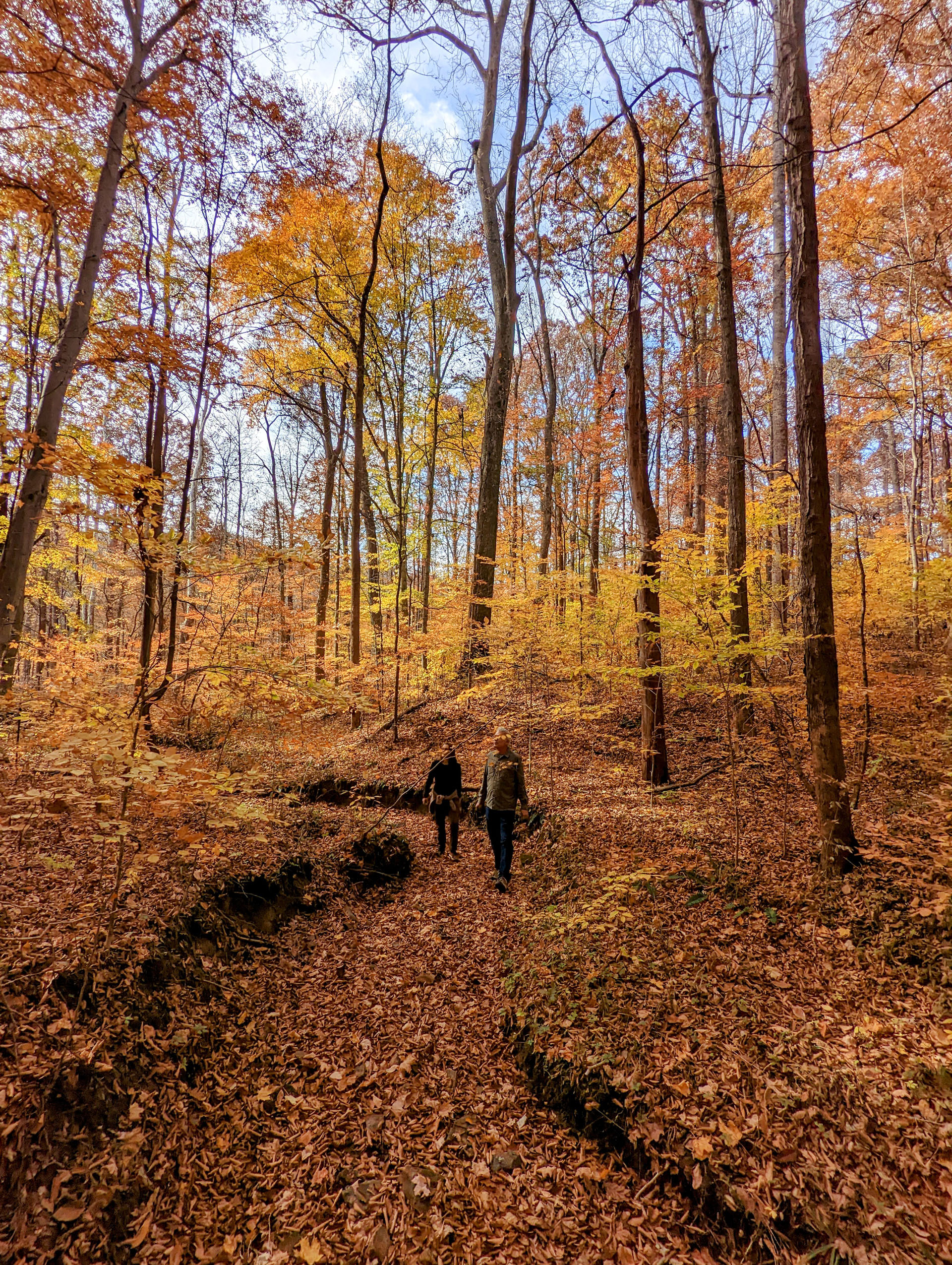 PXL 20221029 185812090~2