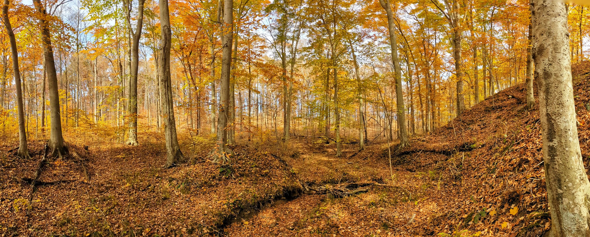 PXL 20221029 185921078.PANO 02