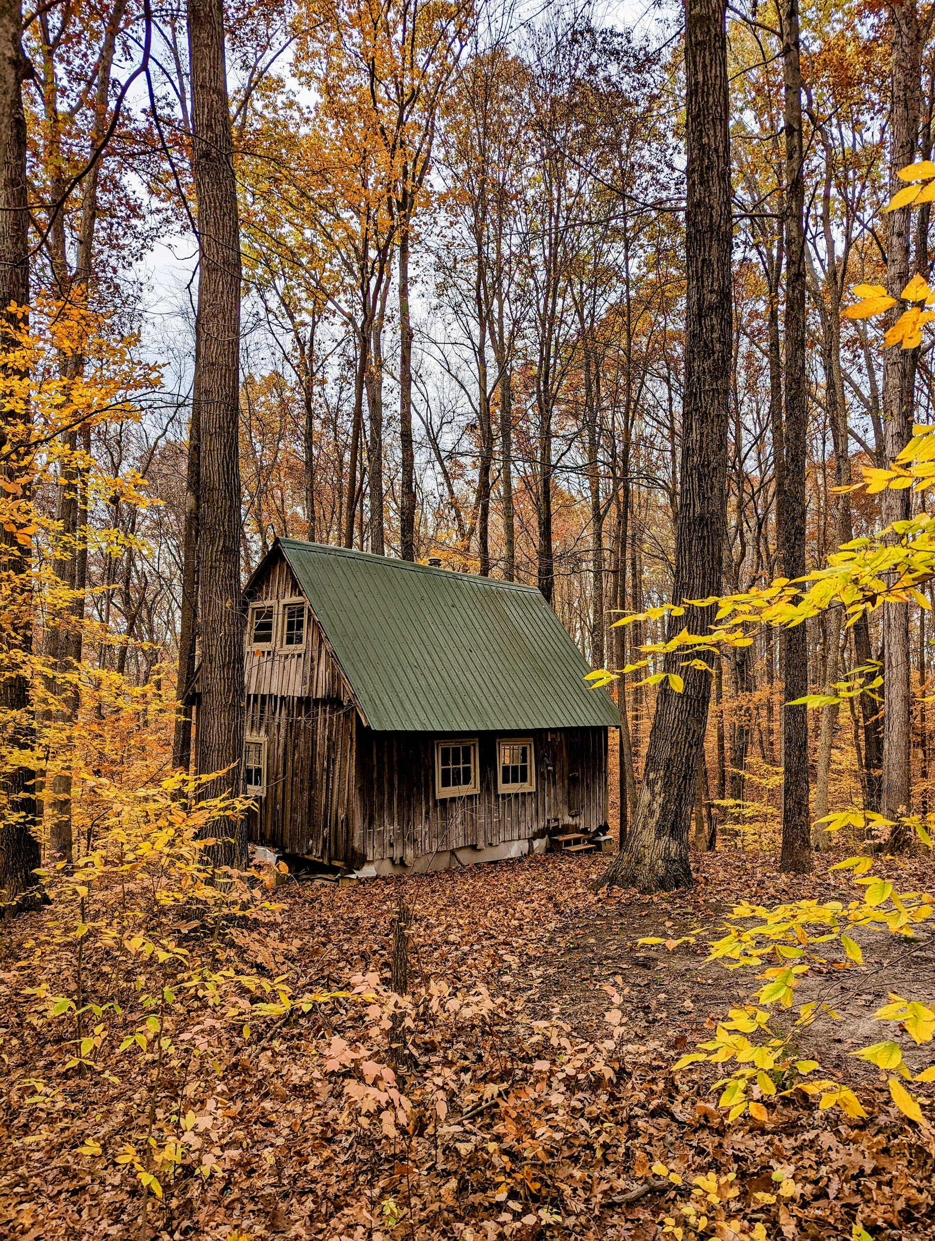 PXL 20221029 205358247 3