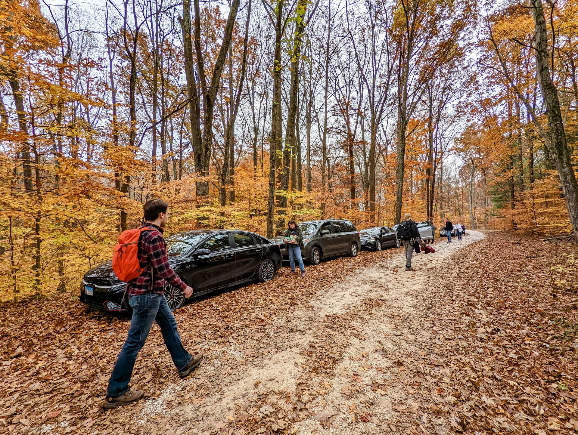 PXL 20221029 205614062 2