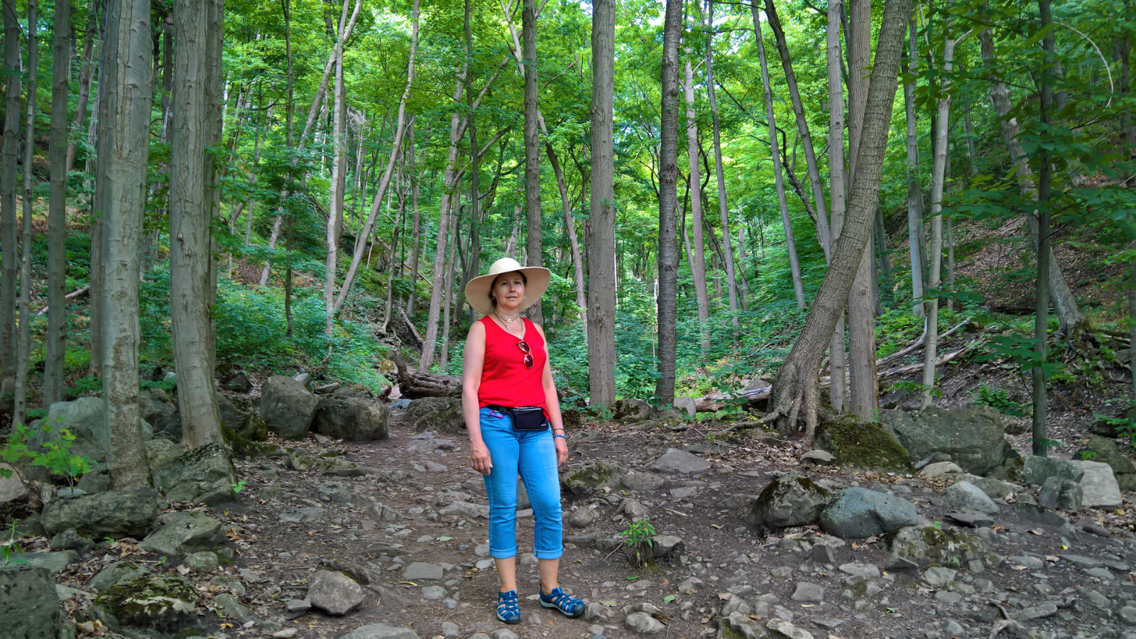 Niagara Falls 2018 hike