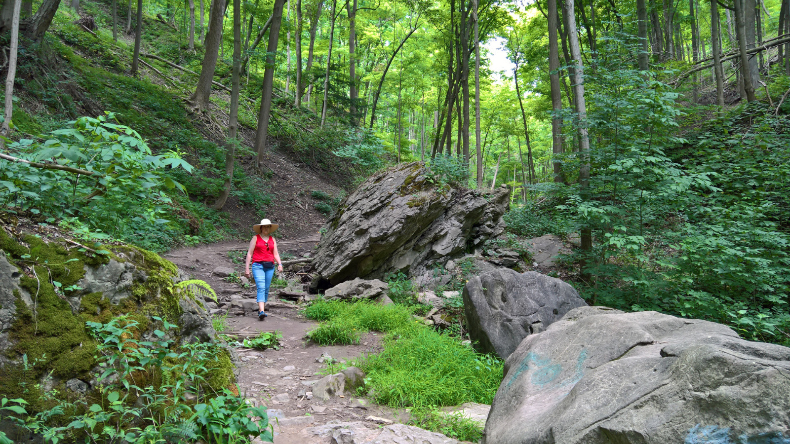 WP 20180728 12 17 30 Pro