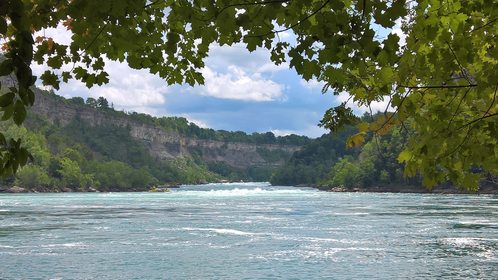 WP 20180728 12 33 33 Pro