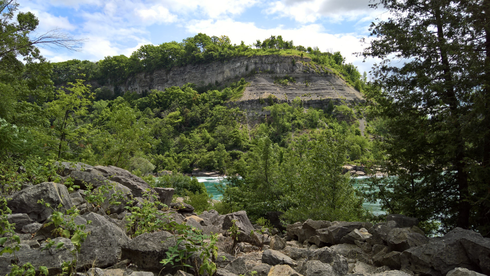 WP 20180728 12 57 52 Pro