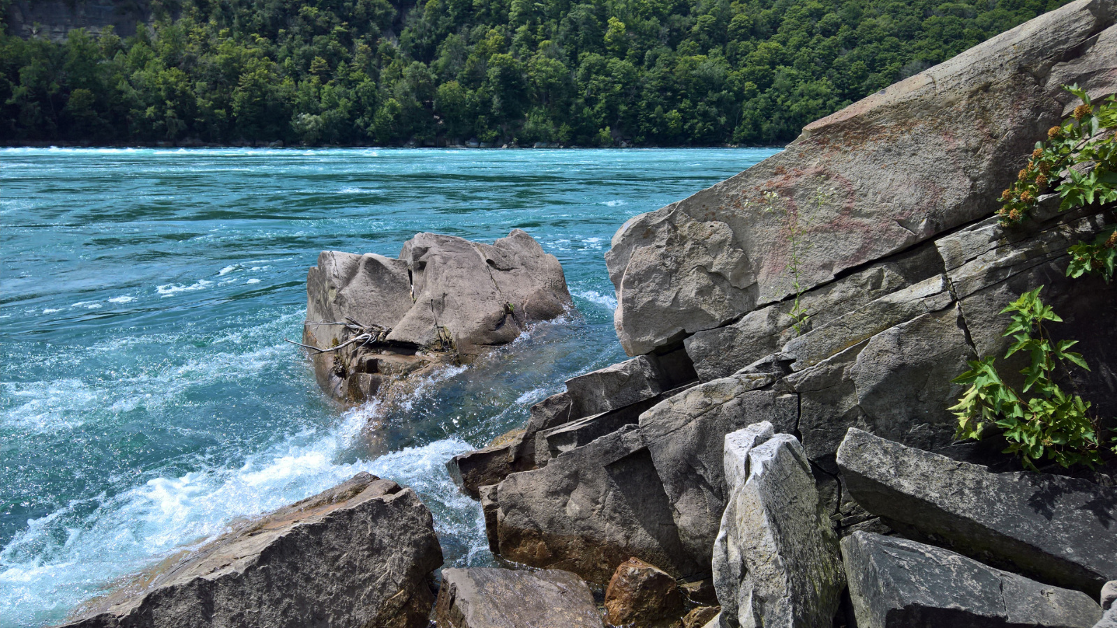 WP 20180728 13 04 49 Pro