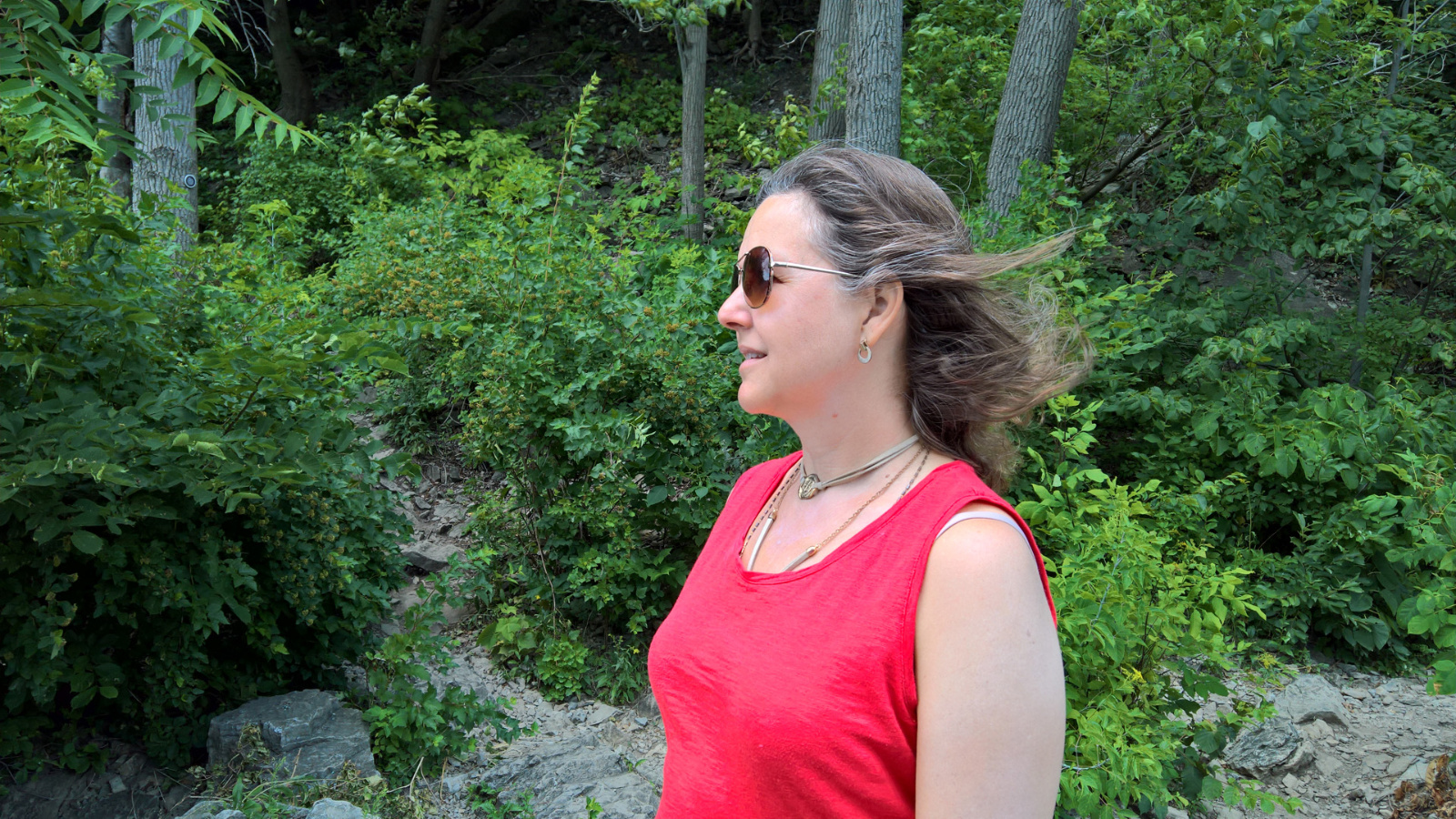 WP 20180728 13 45 11 Pro