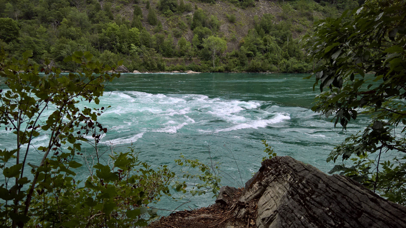 WP 20180728 13 53 00 Pro