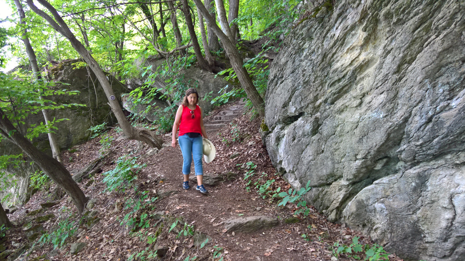 WP 20180728 14 00 42 Pro