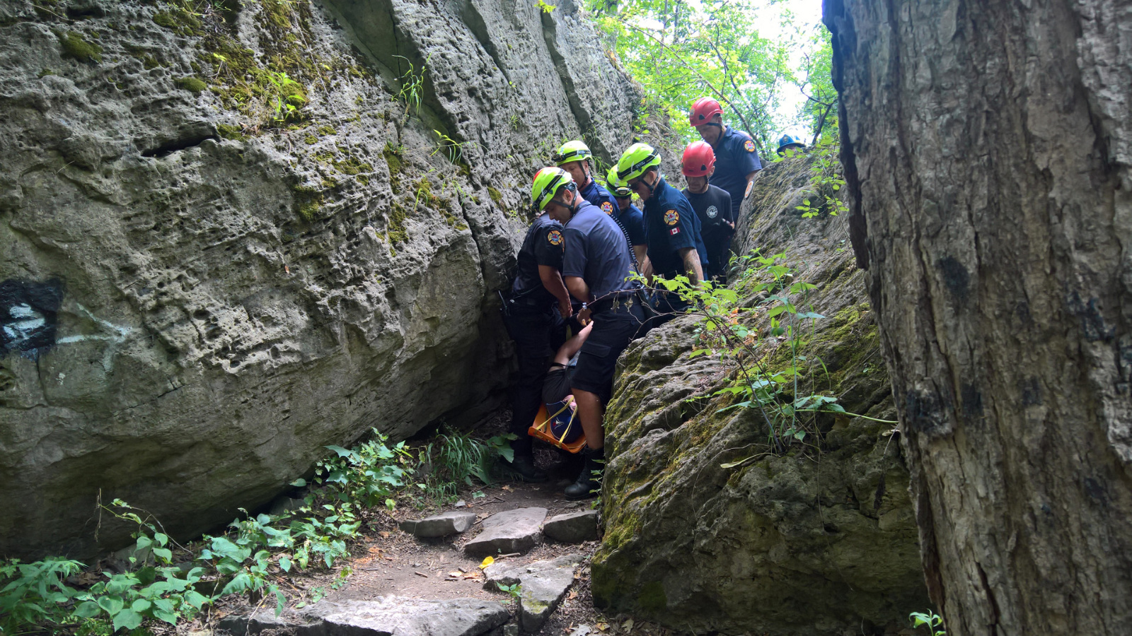 WP 20180728 14 21 30 Pro