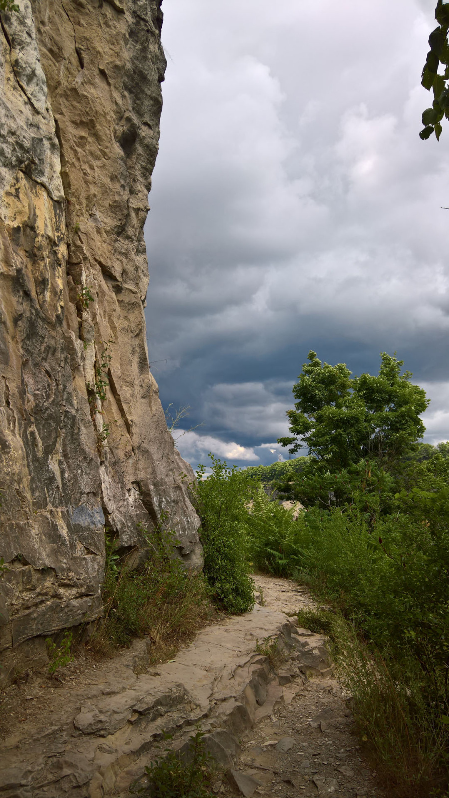 WP 20180728 14 24 23 Pro