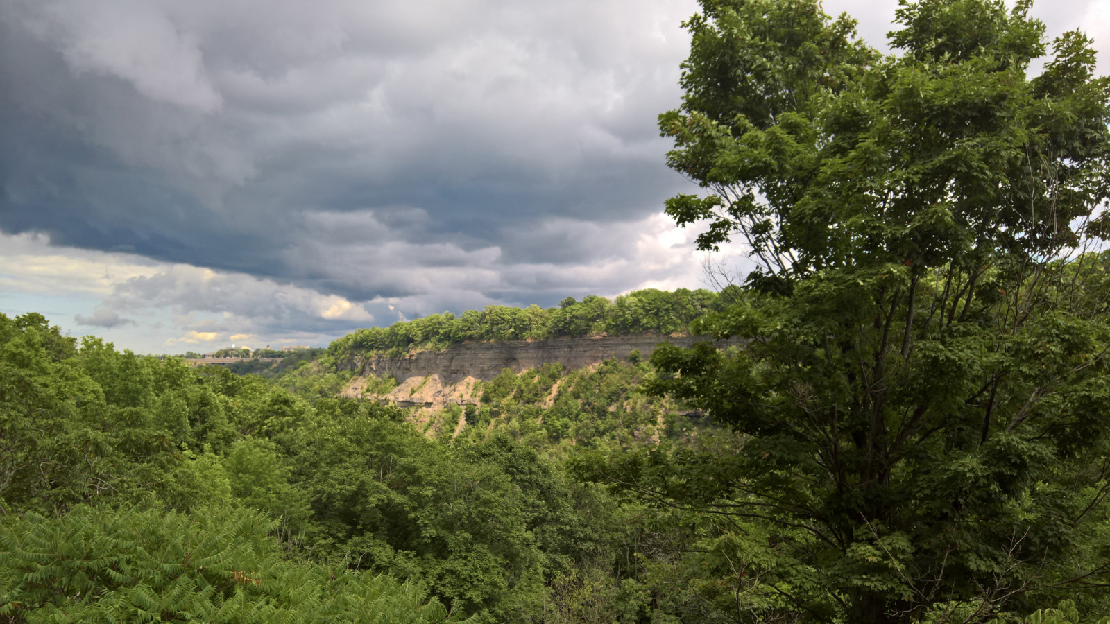 WP 20180728 14 24 48 Pro