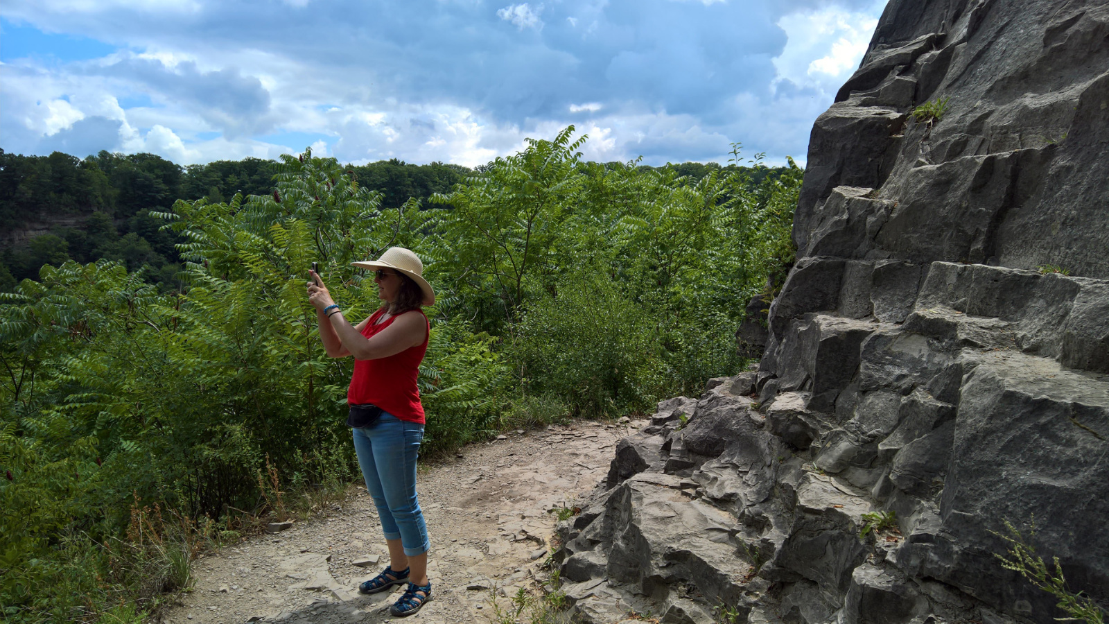 WP 20180728 14 25 09 Pro