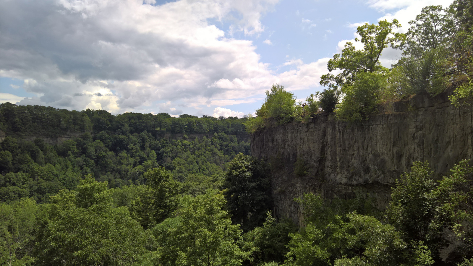 WP 20180728 14 33 57 Pro