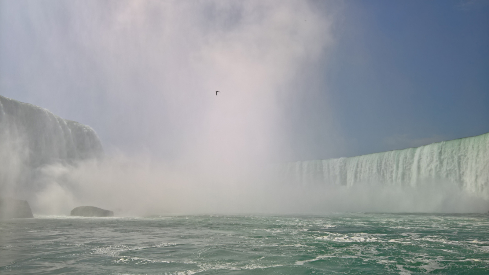 WP 20180729 10 58 43 Pro