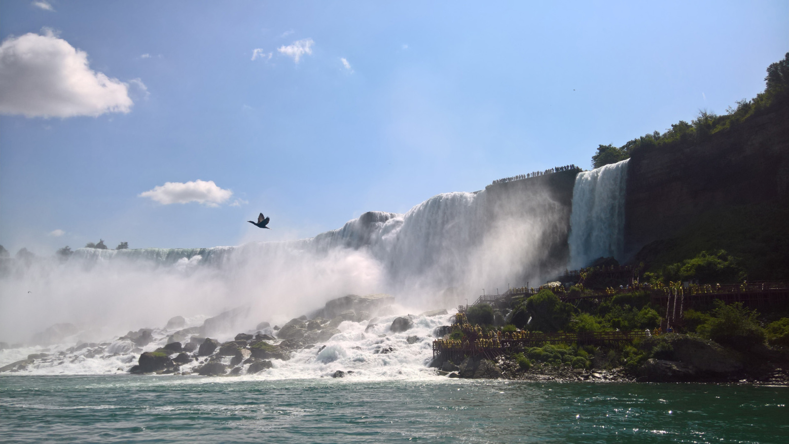 WP 20180729 11 05 58 Pro