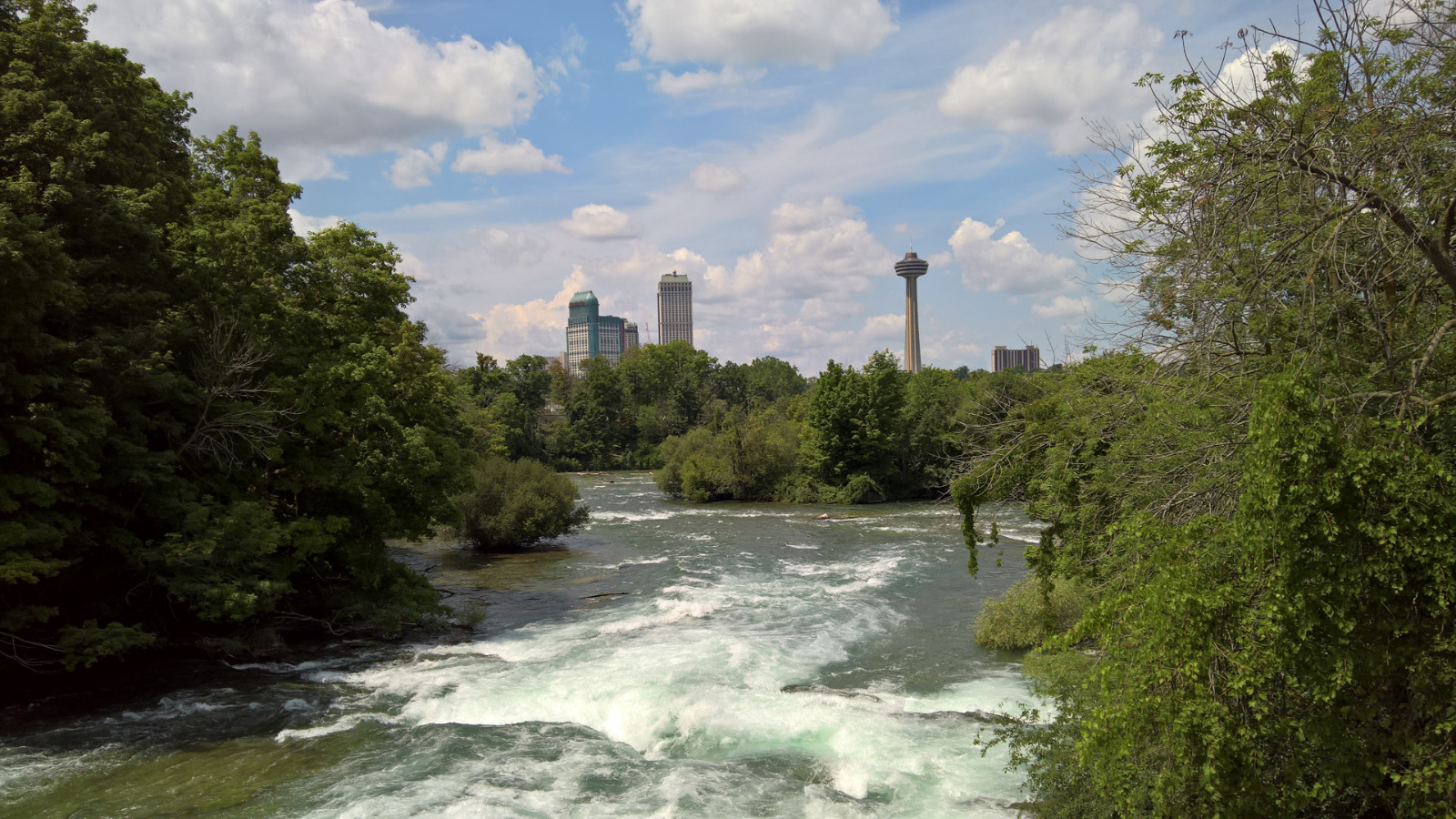 WP 20180729 13 02 51 Pro