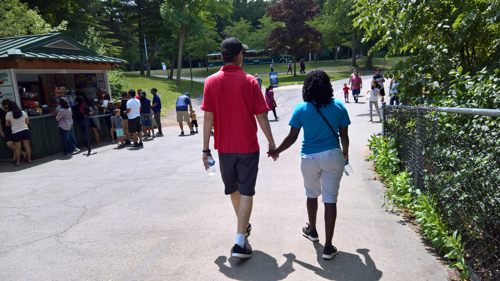 WP 20180729 13 03 52 Pro