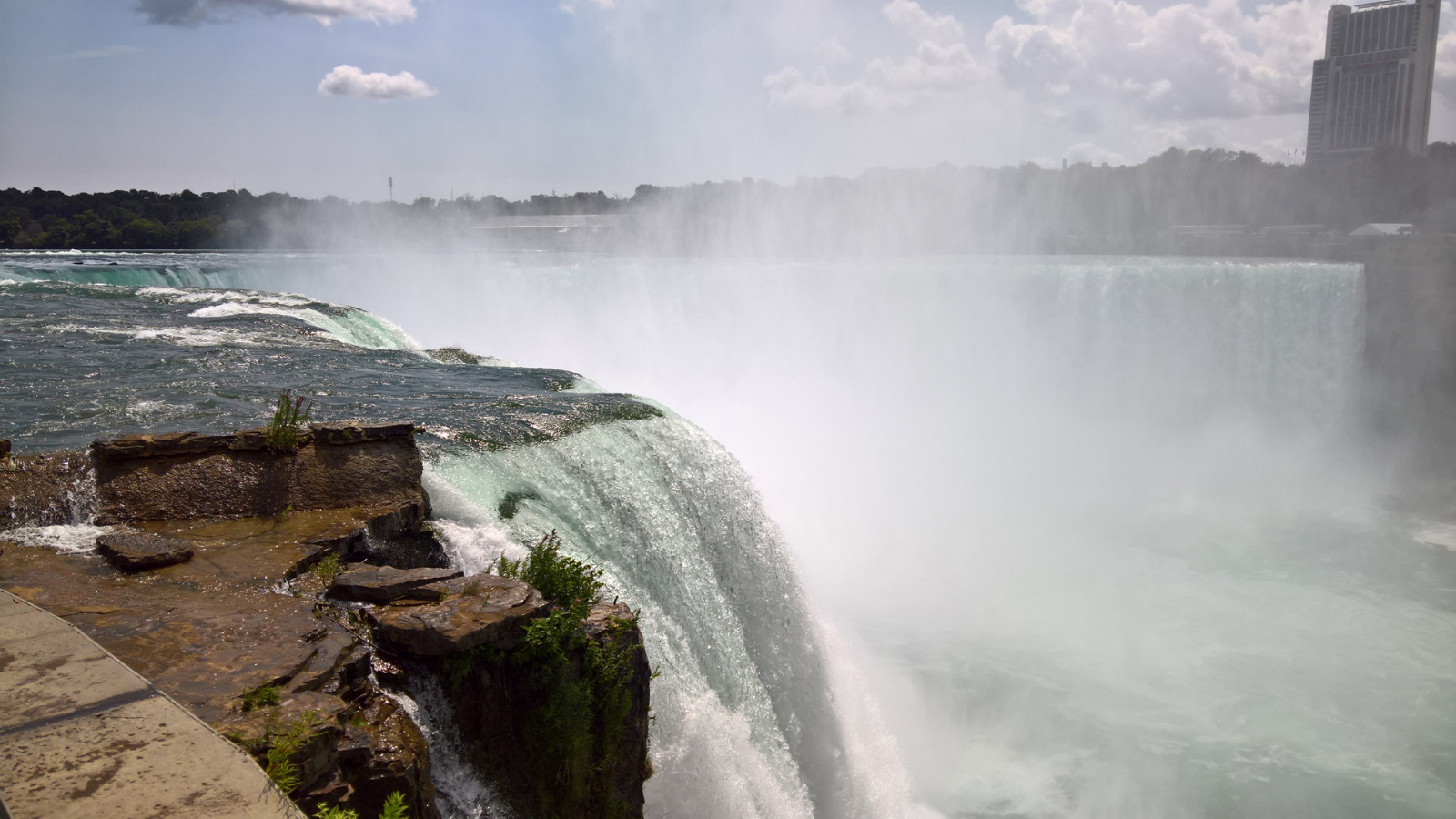 WP 20180729 14 43 08 Pro