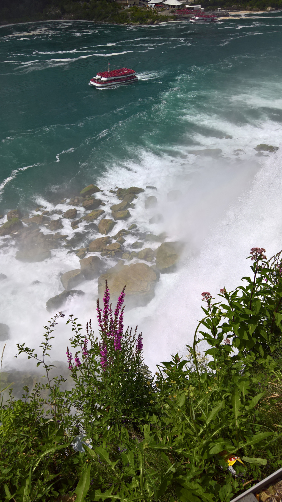 WP 20180729 15 11 31 Pro