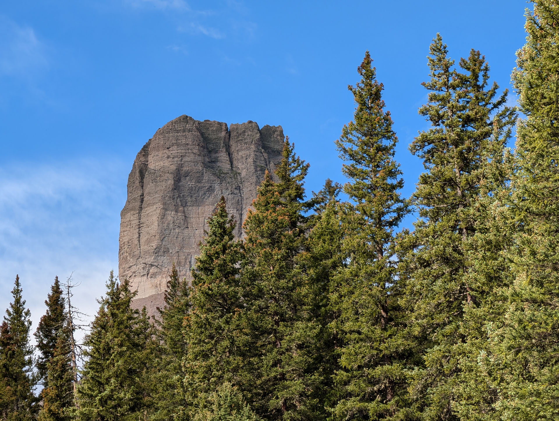 Wetterhorn Basin Trail