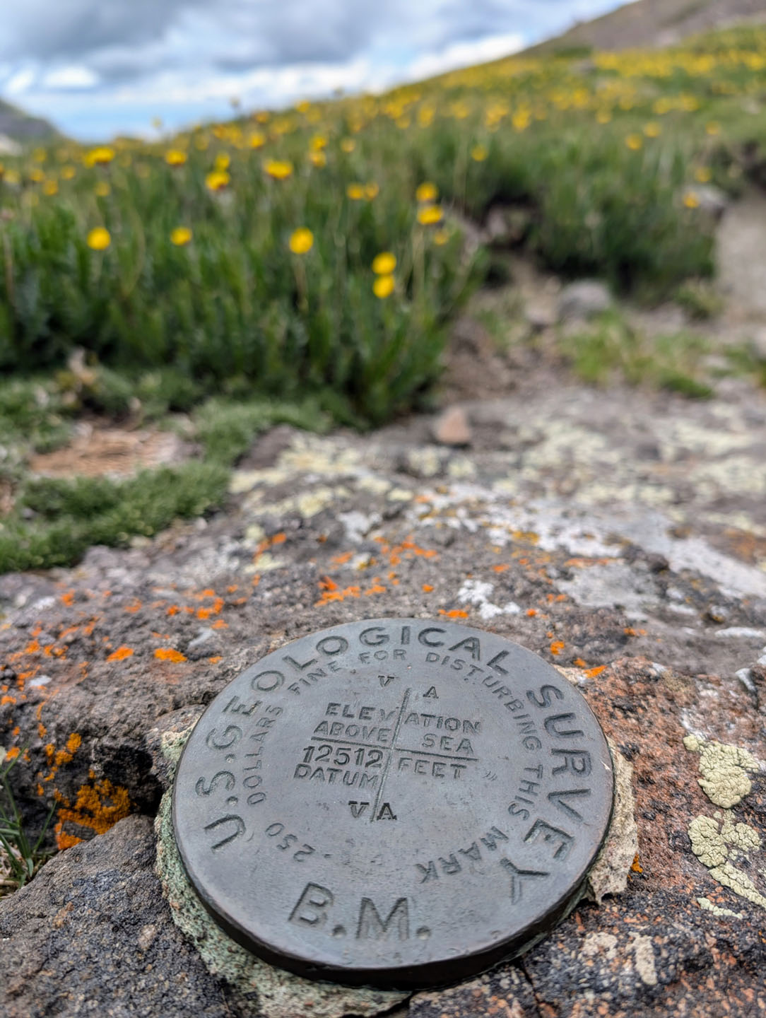 West Fork Pass - 12.512ft - Wetterhorn Basin Trail
