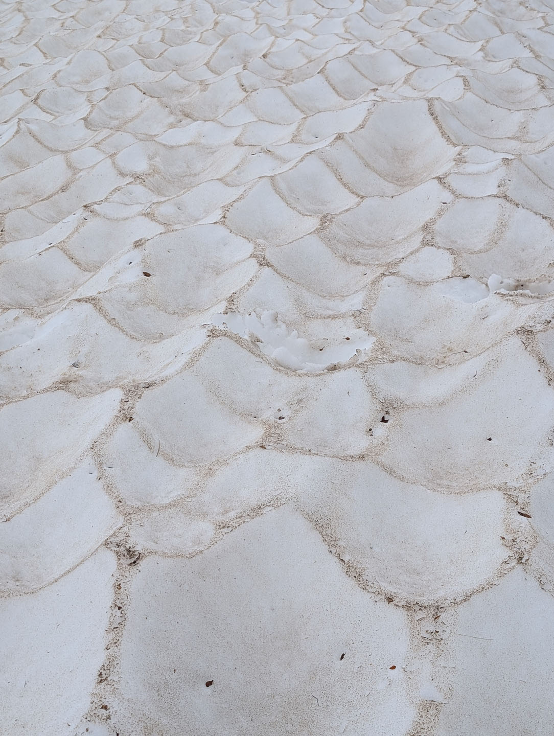 Wetterhorn Basin Trail