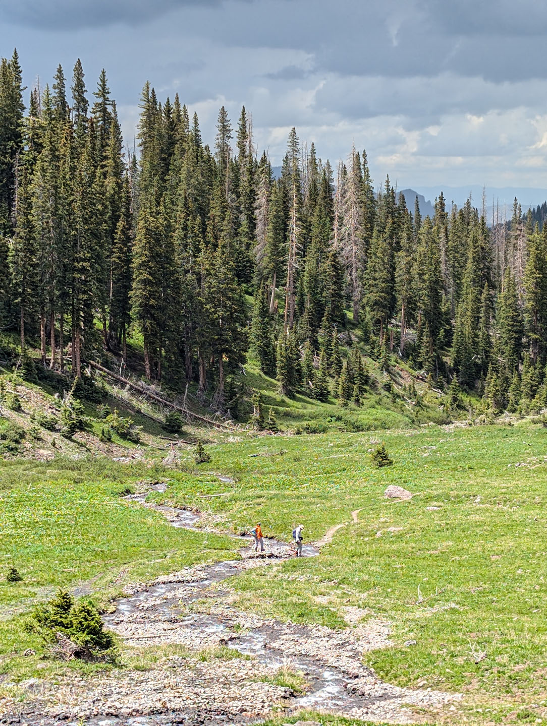 Wetterhorn Basin Trail