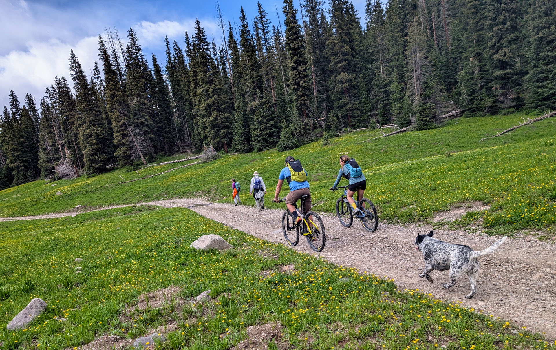 Wetterhorn Basin Trail