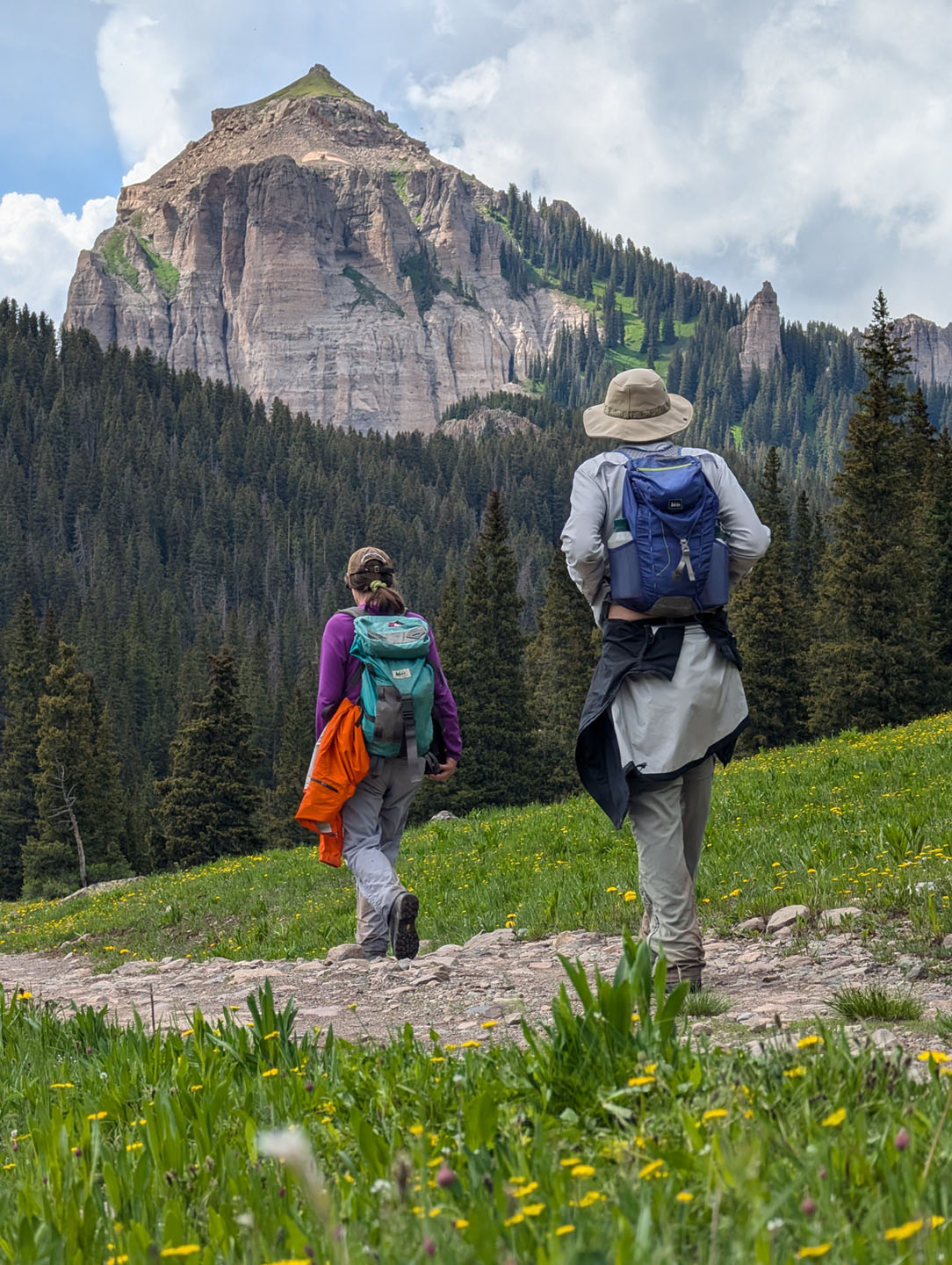 Wetterhorn Basin Trail