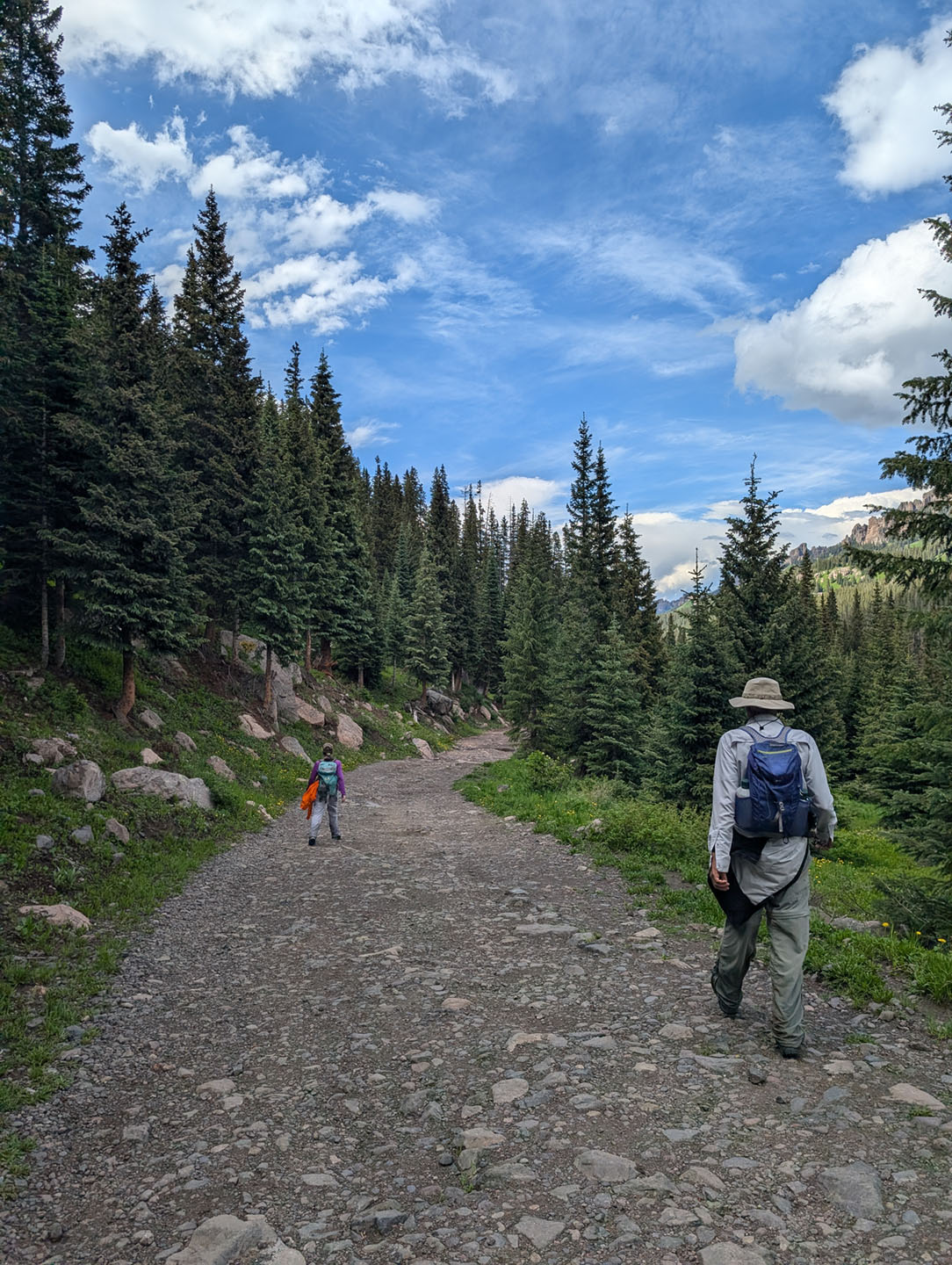 Wetterhorn Basin Trail