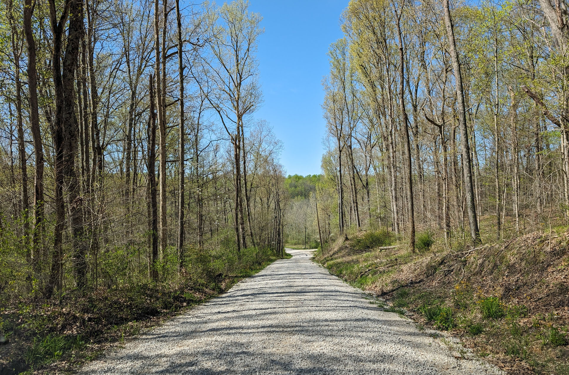 PXL 20240420 151812858