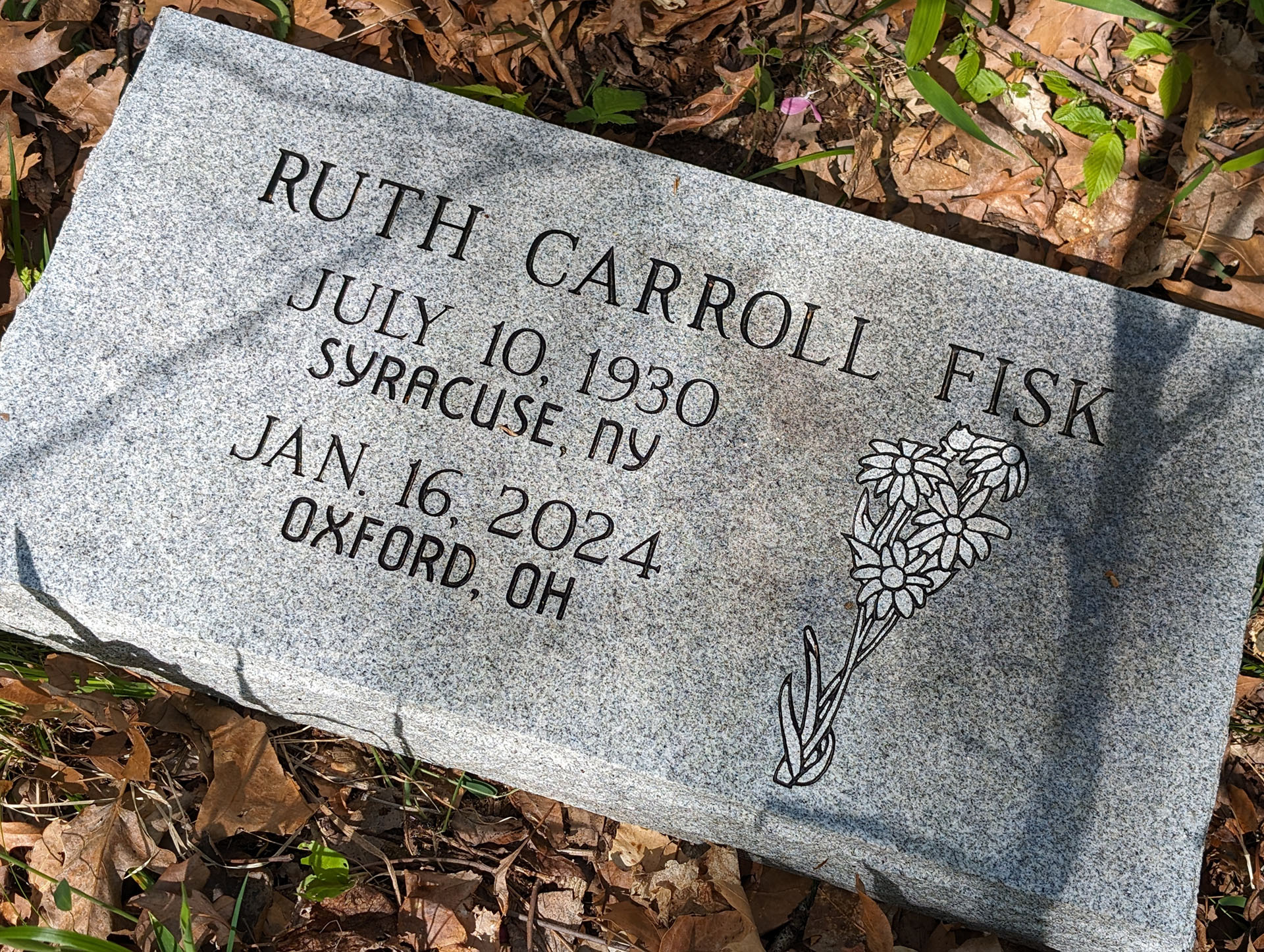 PXL 20240420 155447216