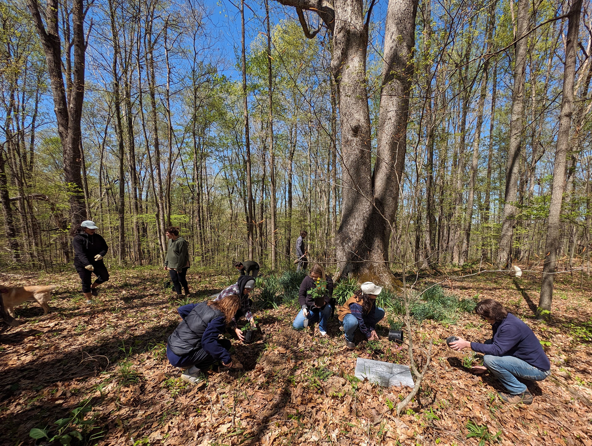 PXL 20240420 163636498