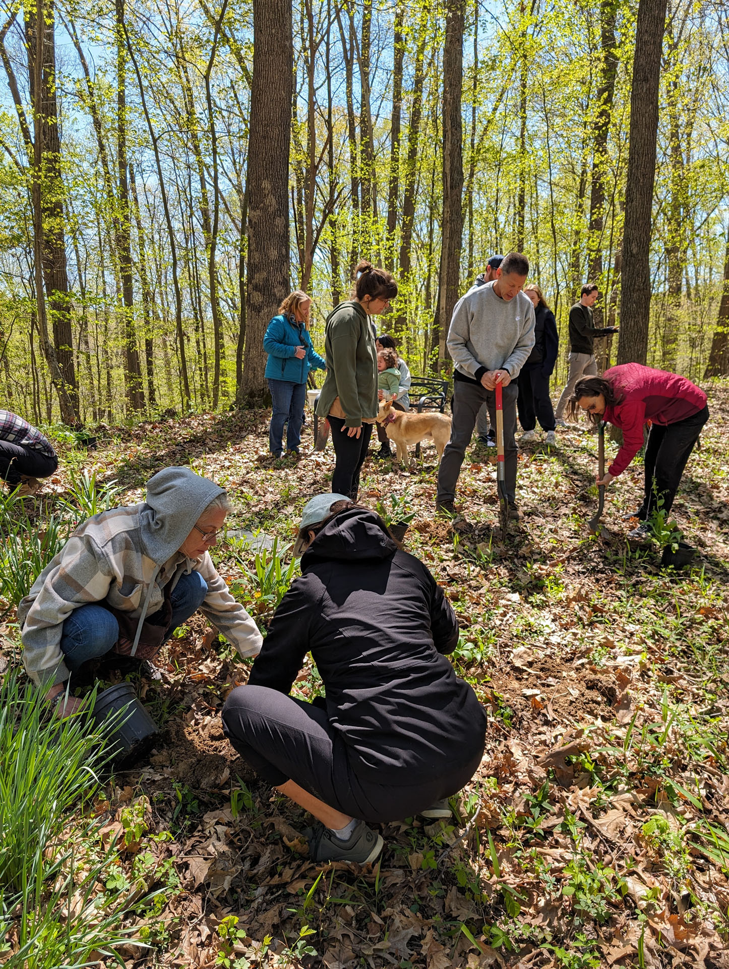 PXL 20240420 163836199