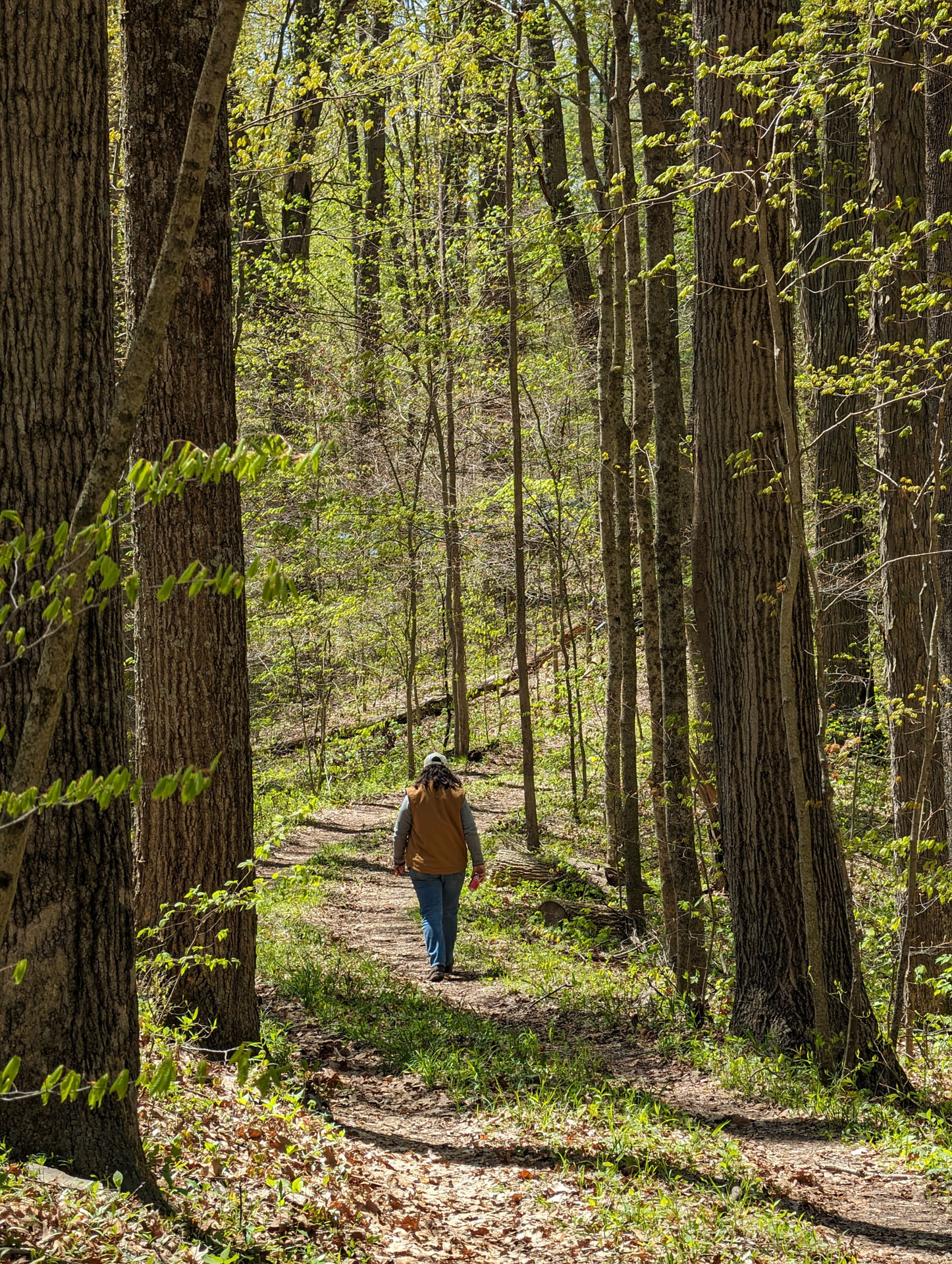 PXL 20240420 174706401