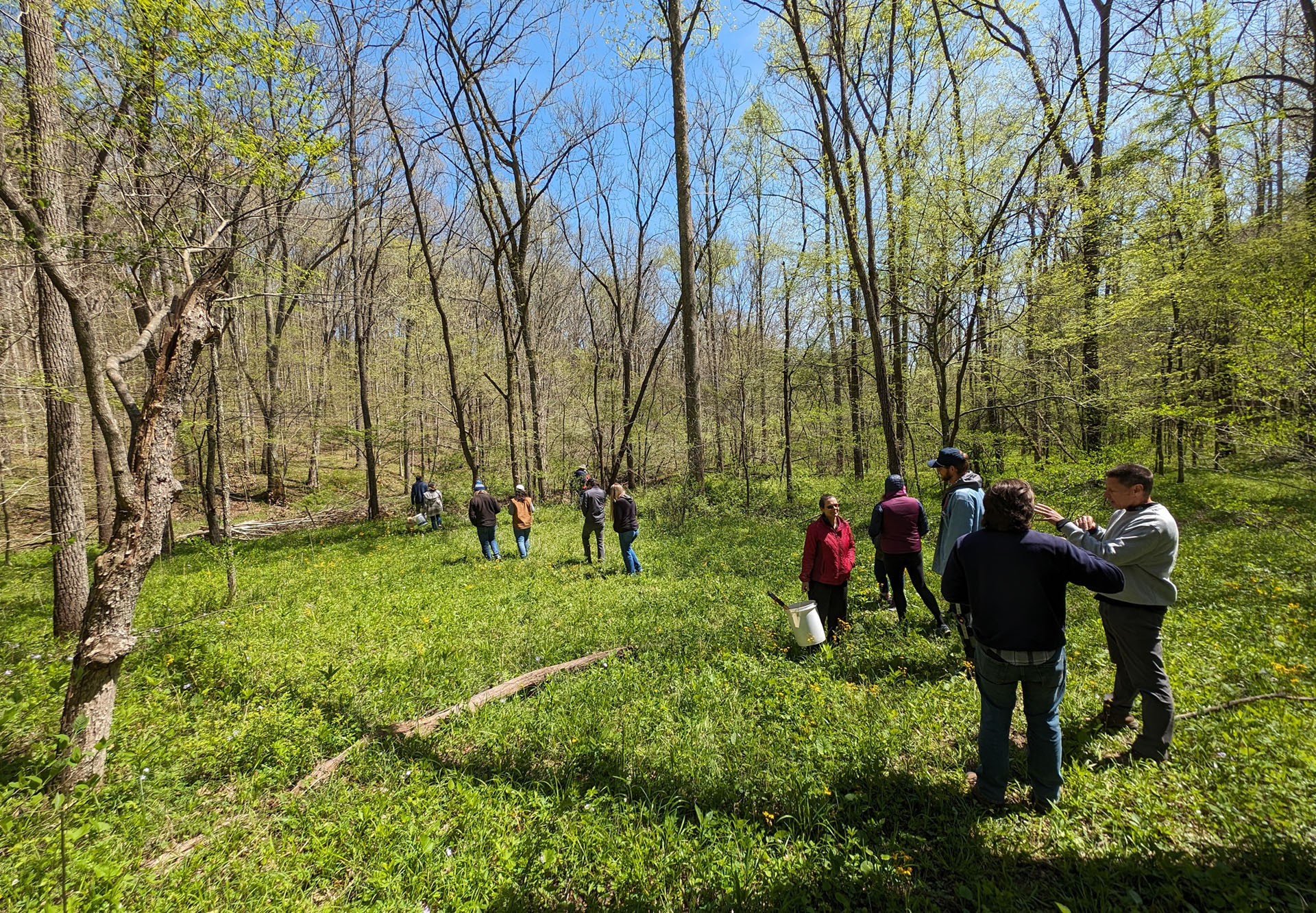 PXL 20240420 183311085