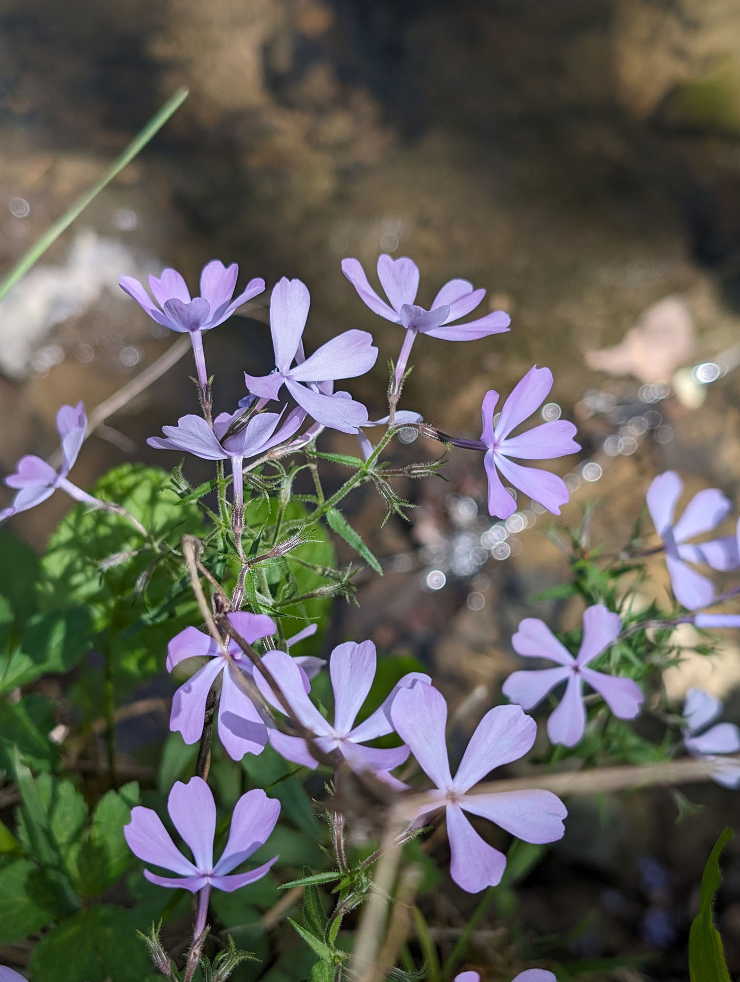 PXL 20240420 183620054