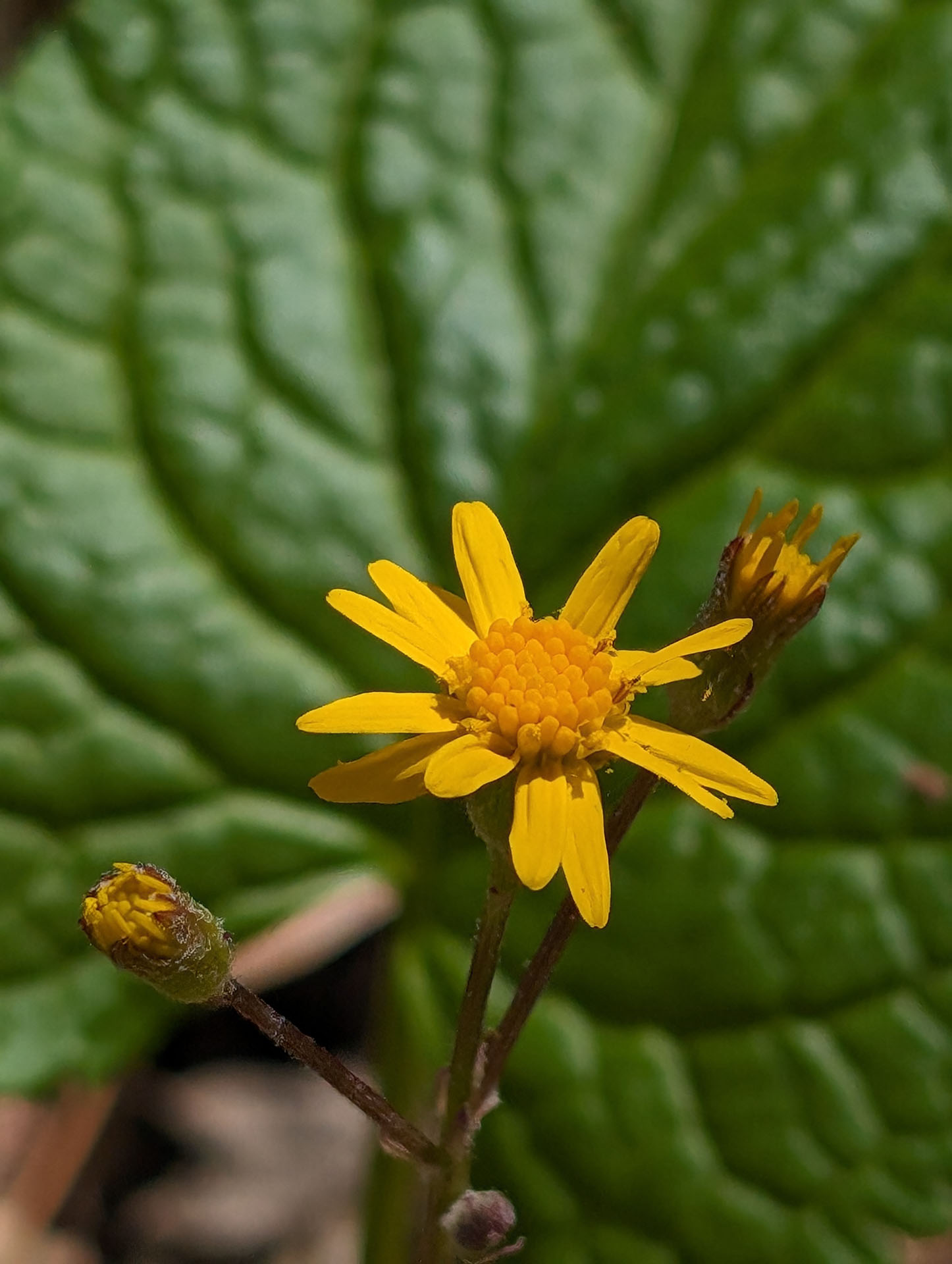 PXL 20240420 185049399