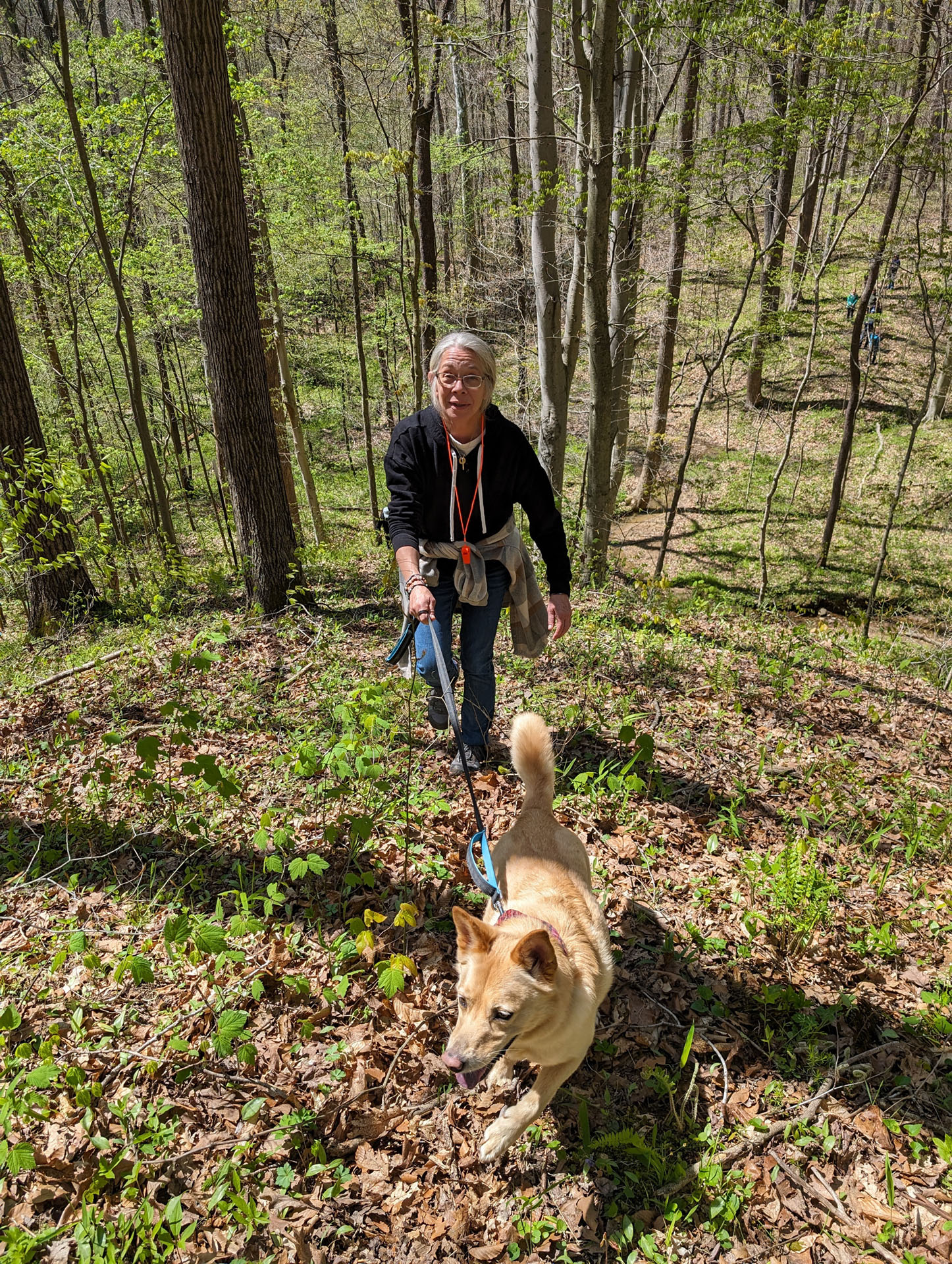 PXL 20240420 185957628