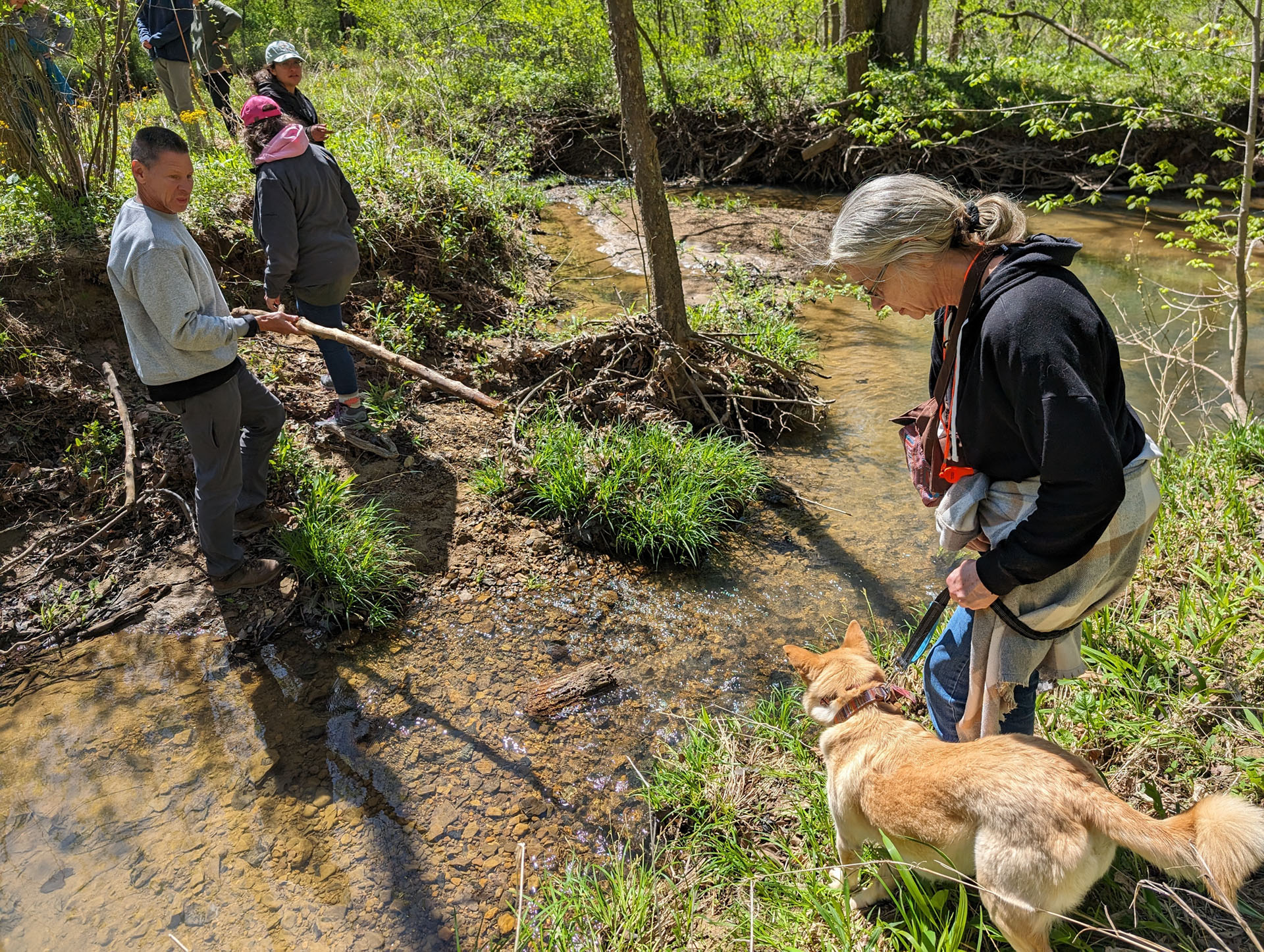 PXL 20240420 192009235