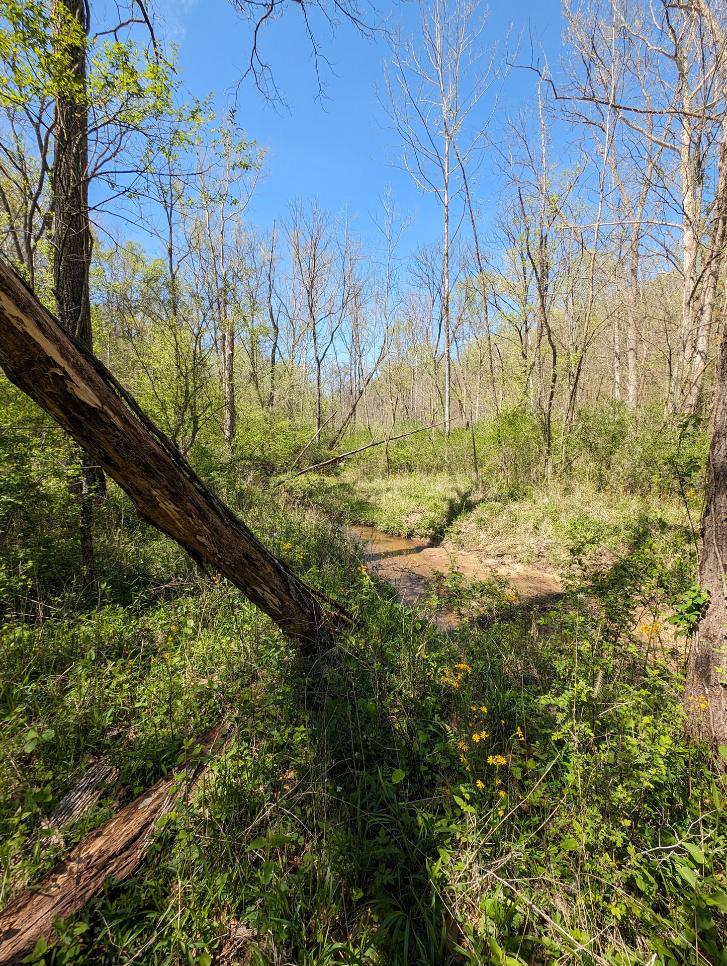 PXL 20240420 192328051