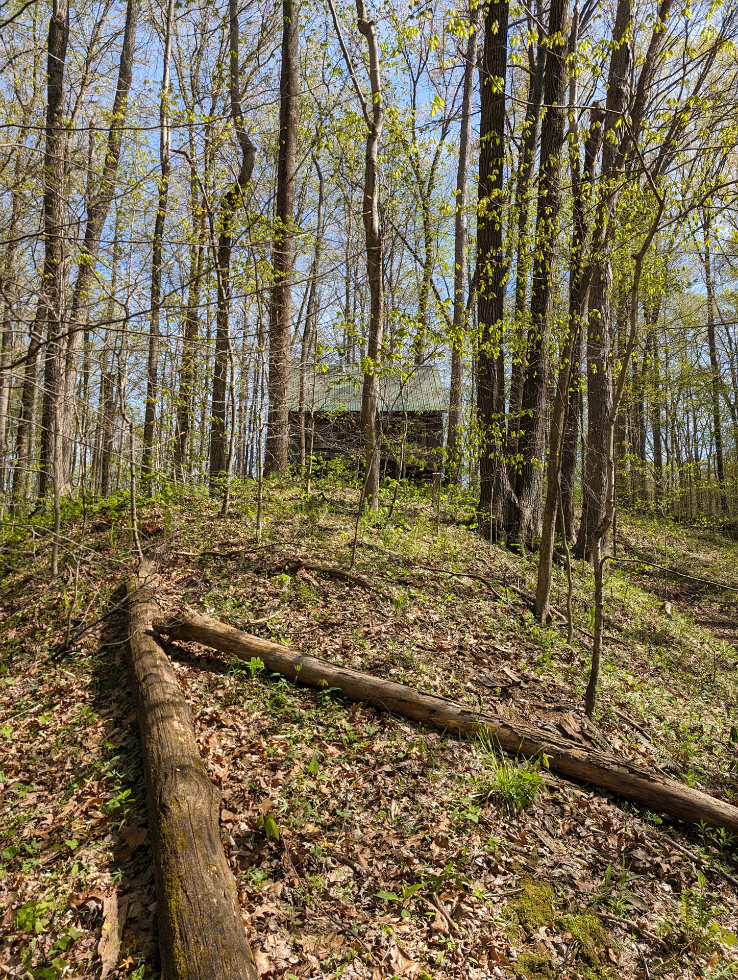 PXL 20240420 195551077